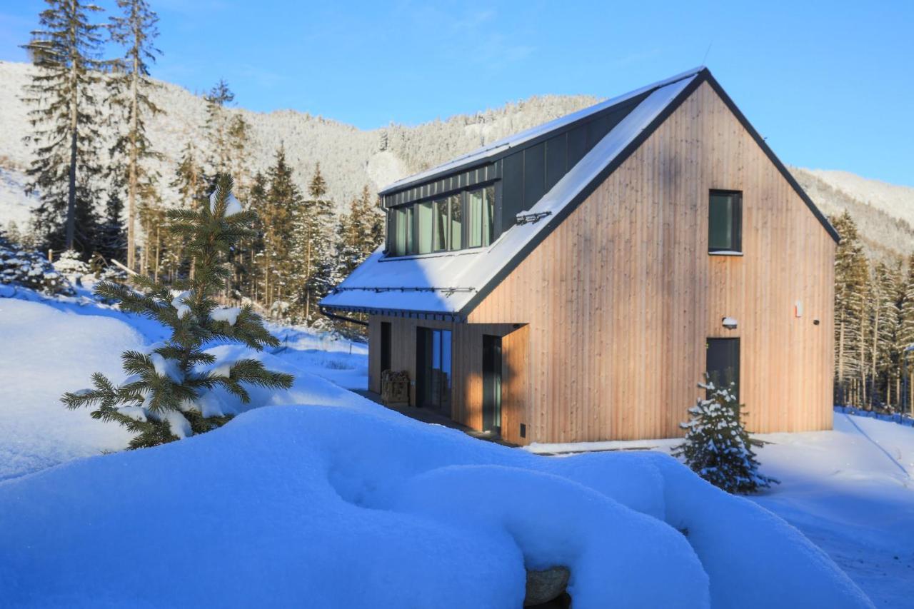 Chalet Polarka デマノブスカ・ドリーナ エクステリア 写真